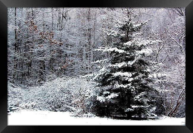  Snow Scene  Framed Print by james balzano, jr.