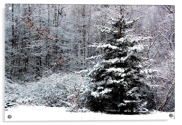 Snow Scene  Acrylic by james balzano, jr.