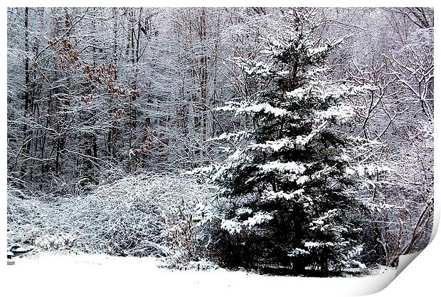  Snow Scene  Print by james balzano, jr.