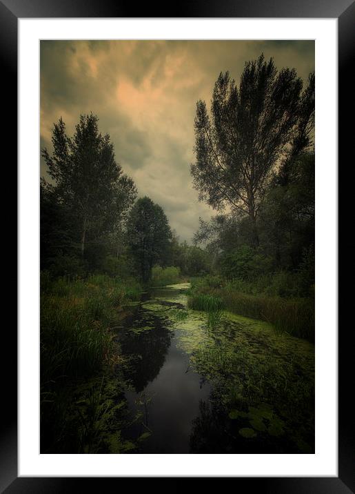 Trekking on the marshlands #4 Framed Mounted Print by Piotr Tyminski