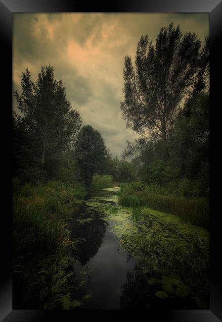 Trekking on the marshlands #4 Framed Print by Piotr Tyminski