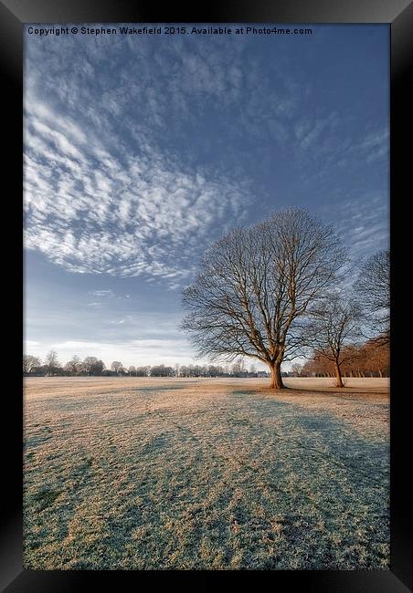  Frosty Winter Morning Framed Print by Stephen Wakefield