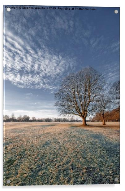  Frosty Winter Morning Acrylic by Stephen Wakefield