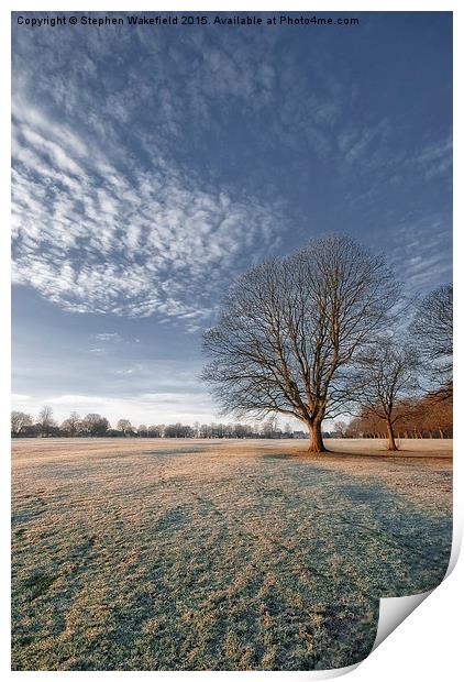  Frosty Winter Morning Print by Stephen Wakefield