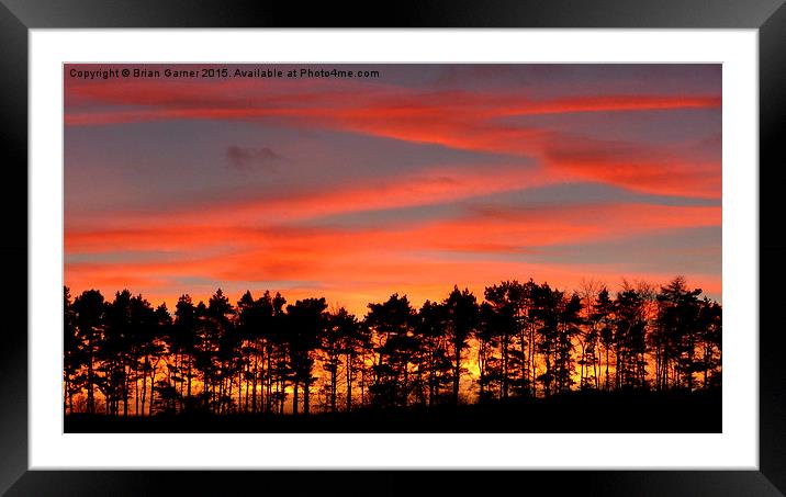  Trees of Fire Framed Mounted Print by Brian Garner