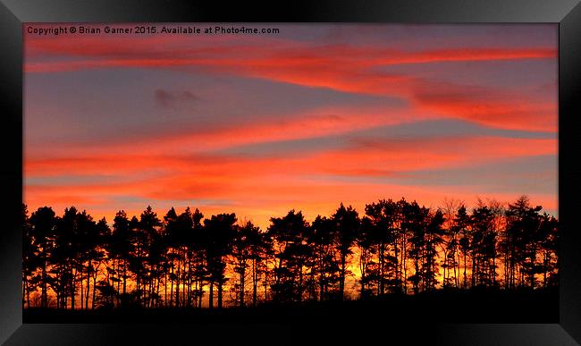  Trees of Fire Framed Print by Brian Garner