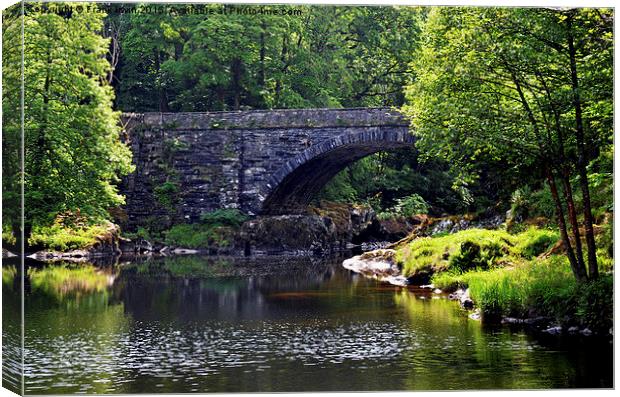  Picturesque bridge setting, Nr. Betws-y-Coed Canvas Print by Frank Irwin