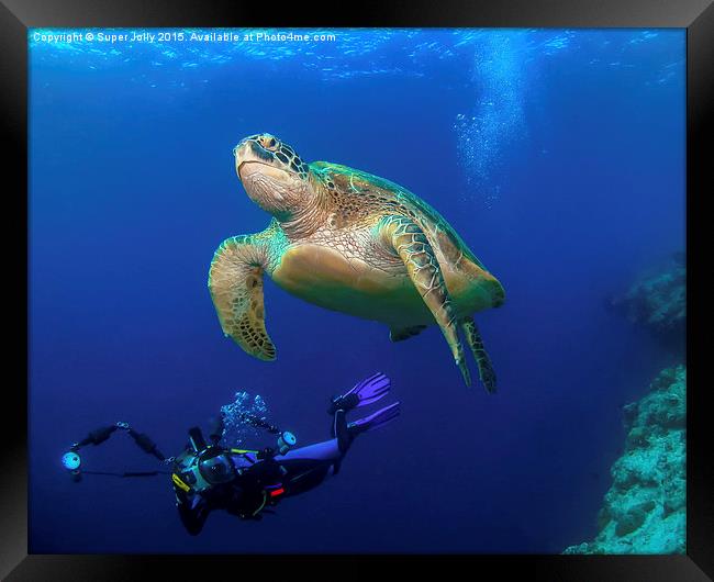 Underwater turtle and photographer Framed Print by Super Jolly