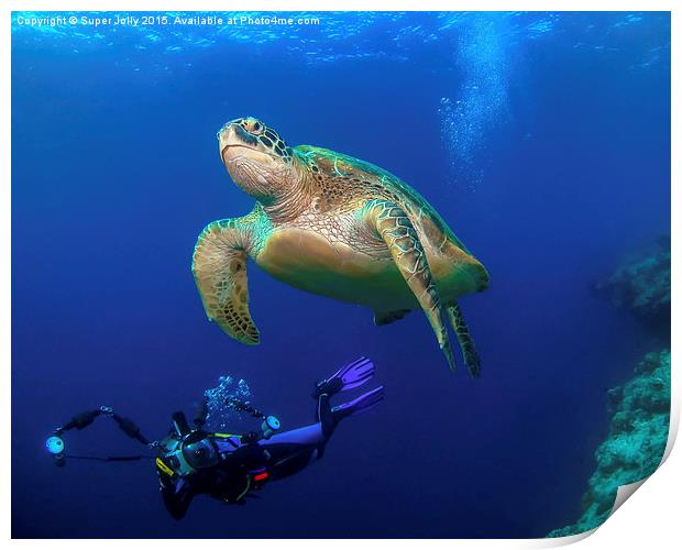 Underwater turtle and photographer Print by Super Jolly