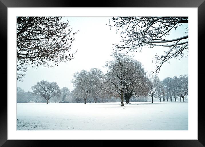 Trees in snow Framed Mounted Print by Stephen Mole