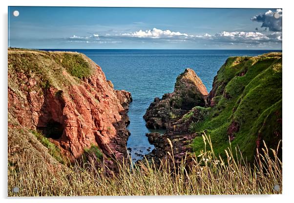 Rocky Cliffs of Arbroath  Acrylic by Valerie Paterson