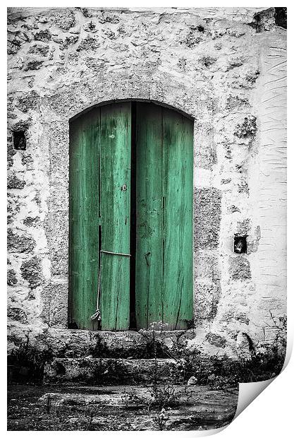  Green door Print by David Martin