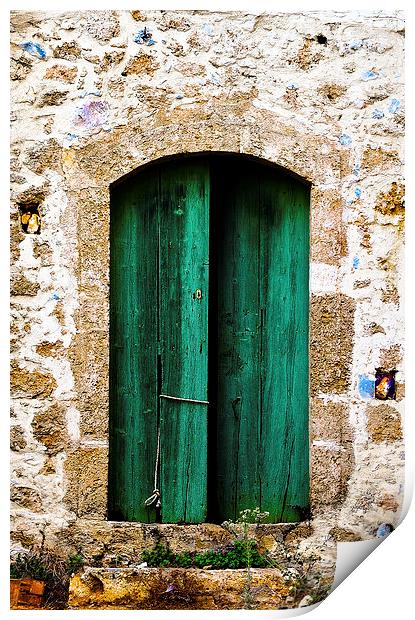  Green Door-2 Print by David Martin