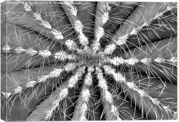 Cactus Symmetry Canvas Print by Martyn Arnold