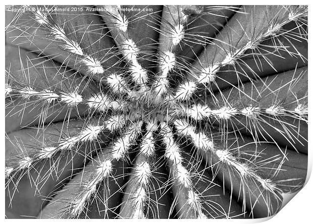 Cactus Symmetry Print by Martyn Arnold