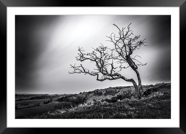  Postling Downs Framed Mounted Print by Ian Hufton
