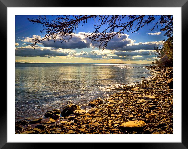 Cape John, Nova Scotia, Canada Framed Mounted Print by Mark Llewellyn