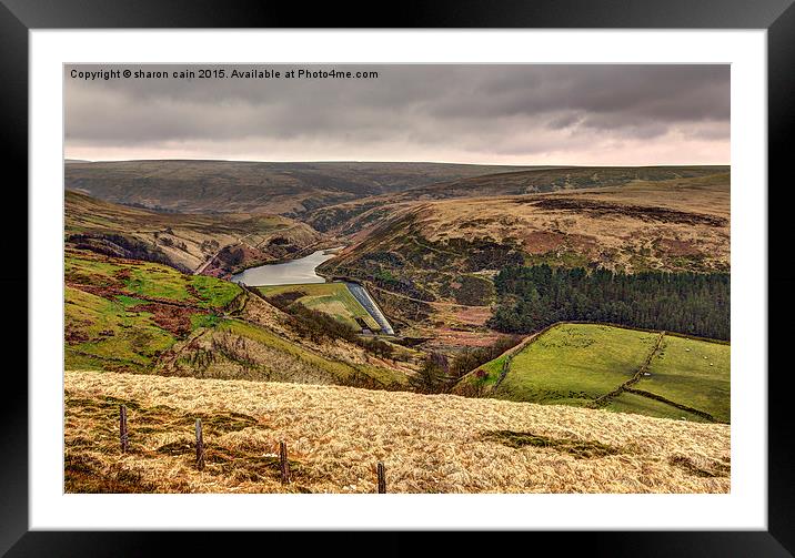  Through a glass Blackley Framed Mounted Print by Sharon Cain