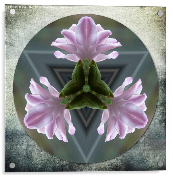  Hyacinth Kaleidoscope Acrylic by Lynn Bolt