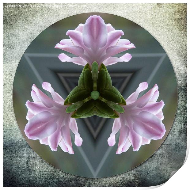  Hyacinth Kaleidoscope Print by Lynn Bolt