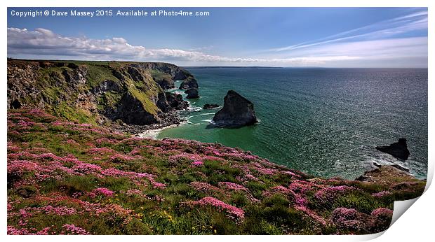 Spring Flowers on Cliffs Print by Dave Massey