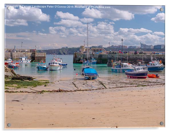  Newquay Harbour  Acrylic by Canvas Landscape Peter O'Connor