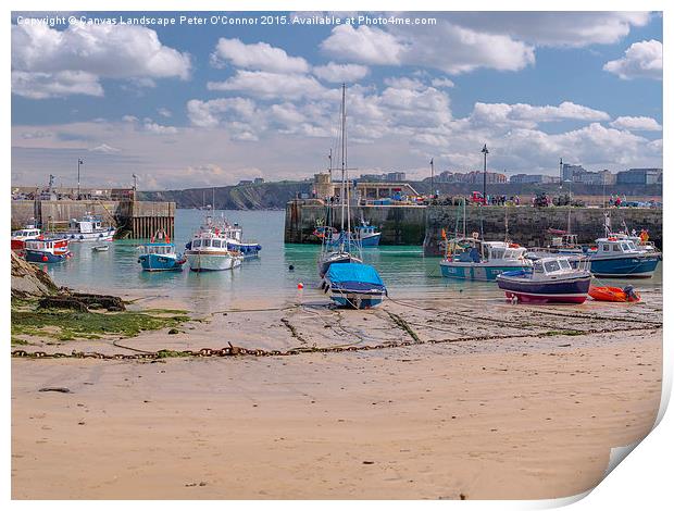  Newquay Harbour  Print by Canvas Landscape Peter O'Connor