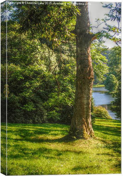  A Walk in the Park Canvas Print by Christine Lake