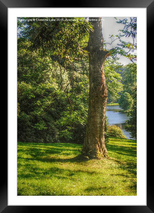  A Walk in the Park Framed Mounted Print by Christine Lake