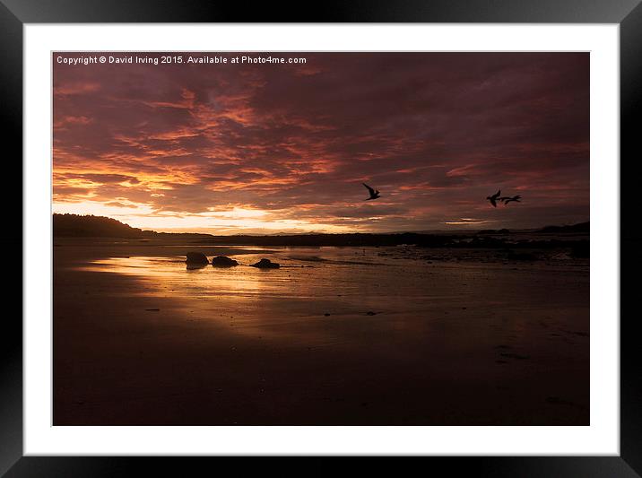  Sunset over beach in North Berwick Framed Mounted Print by David Irving