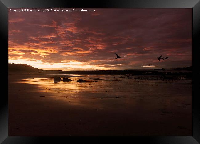  Sunset over beach in North Berwick Framed Print by David Irving