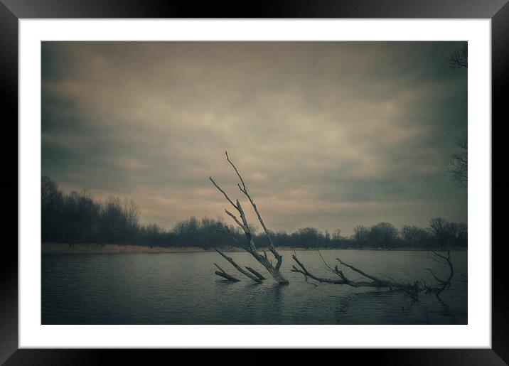 Along the river #1 Framed Mounted Print by Piotr Tyminski