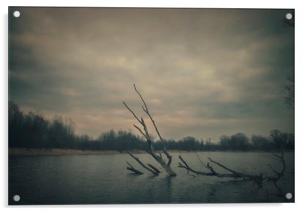 Along the river #1 Acrylic by Piotr Tyminski