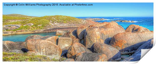  Elephant Rocks Panorama Print by Colin Williams Photography