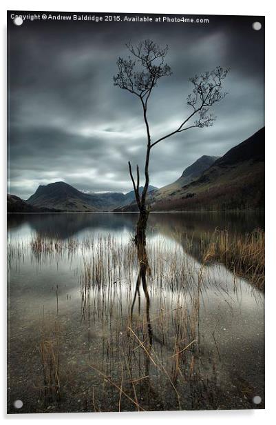  That Tree Acrylic by Andrew Baldridge
