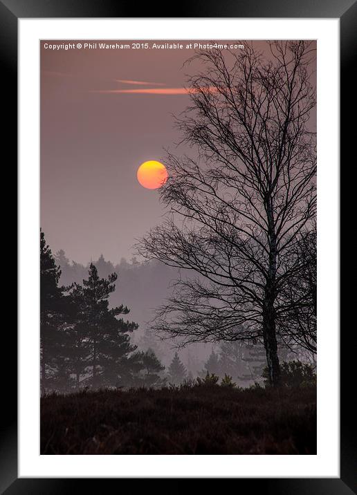  Misty Mogshade Morning Framed Mounted Print by Phil Wareham