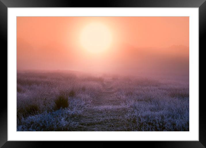 Autumn field sunrise  Framed Mounted Print by Inguna Plume