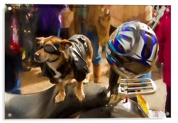  Biker Dog Acrylic by Robert Murray