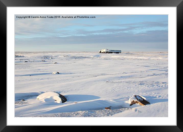  Tundra Buggy Lodge on the Vast Tundra Framed Mounted Print by Carole-Anne Fooks