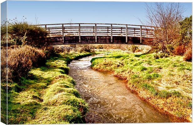  Great County Adit Canvas Print by keith sutton