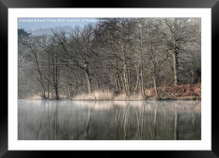  Misty Cannop Ponds Framed Mounted Print by David Tinsley