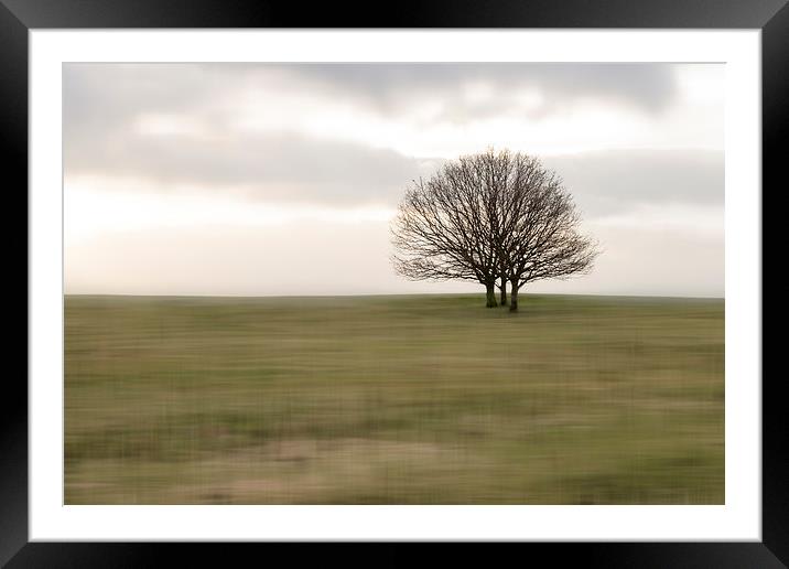  Stillness and Movement Framed Mounted Print by richard downes