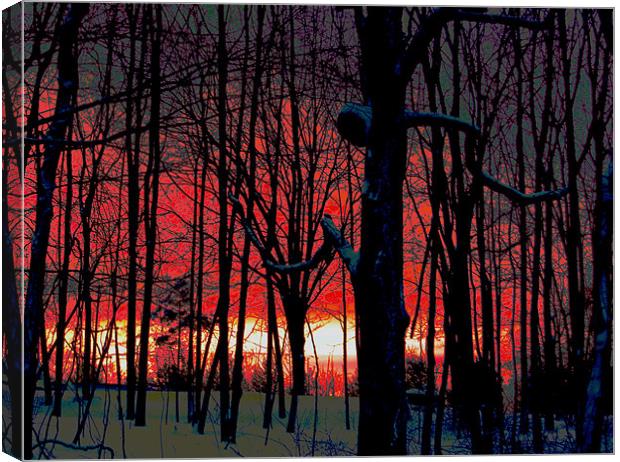 Red Sky Near Night Canvas Print by james balzano, jr.