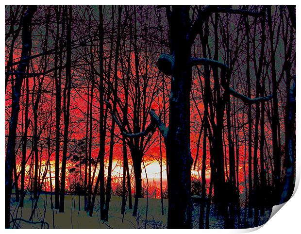 Red Sky Near Night Print by james balzano, jr.