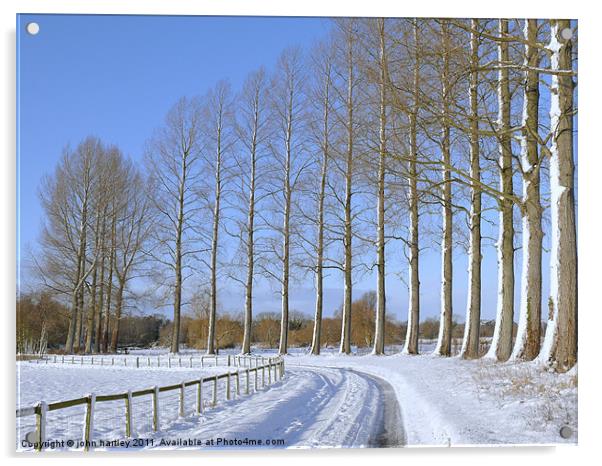 Sunny Winter country snow scene with poplar trees  Acrylic by john hartley