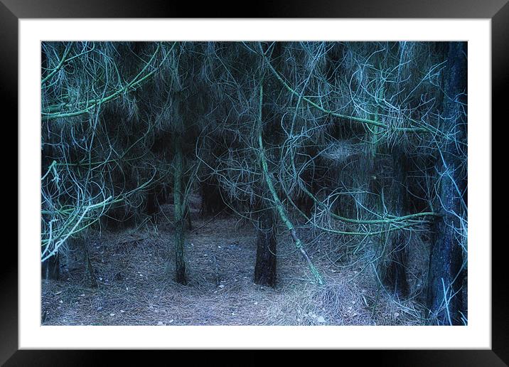 Dare to Enter the Forest Framed Mounted Print by Ann Garrett