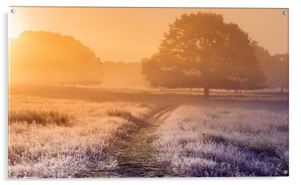  Foggy meadow at sunrise Acrylic by Inguna Plume