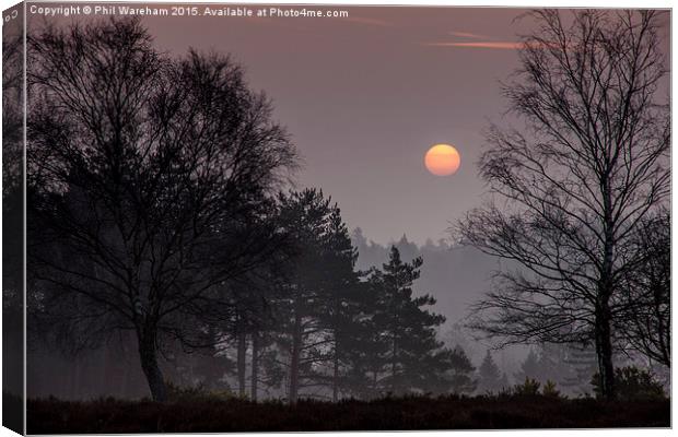  Sunrise over the New Forest Canvas Print by Phil Wareham