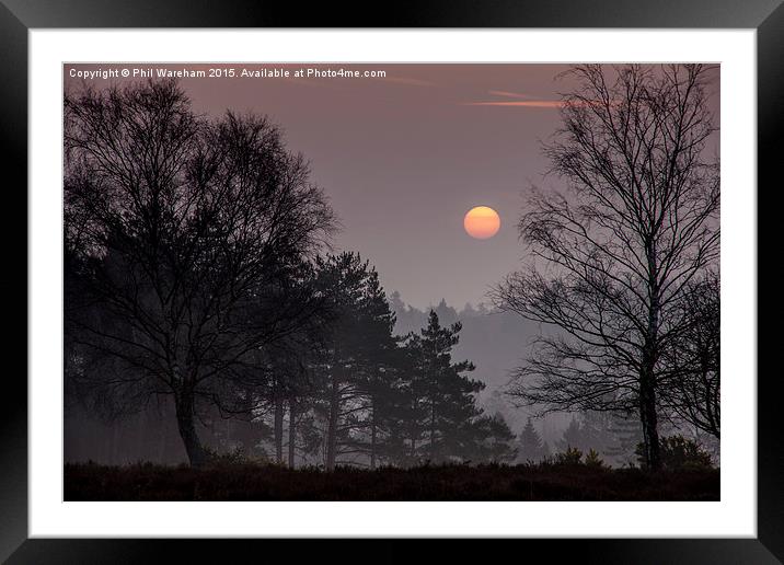  Sunrise over the New Forest Framed Mounted Print by Phil Wareham