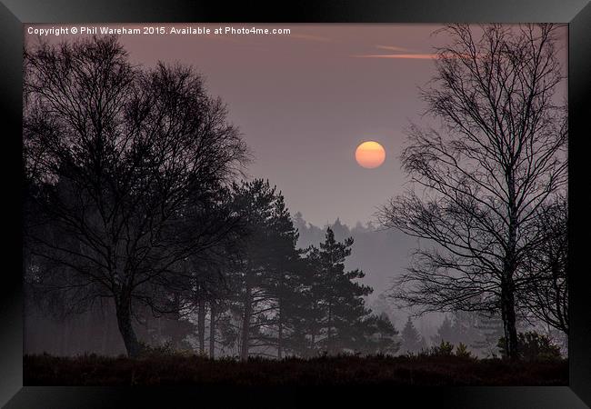  Sunrise over the New Forest Framed Print by Phil Wareham